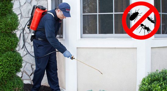 Kemer Böcek İlaçlama böcek ilaçlama ve haşere kontrolü — ilaclama-tr.com